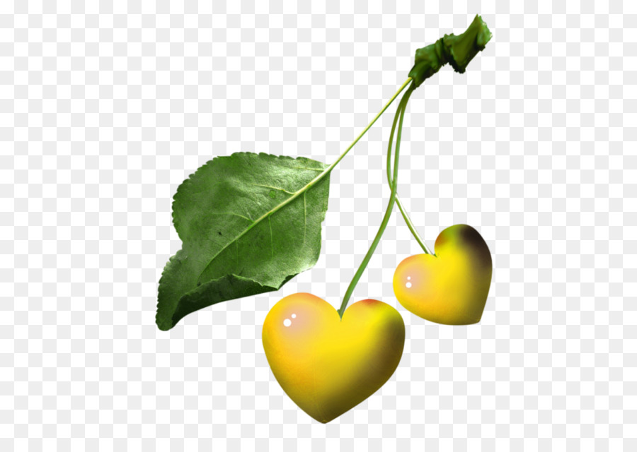 Cereja，Berry PNG