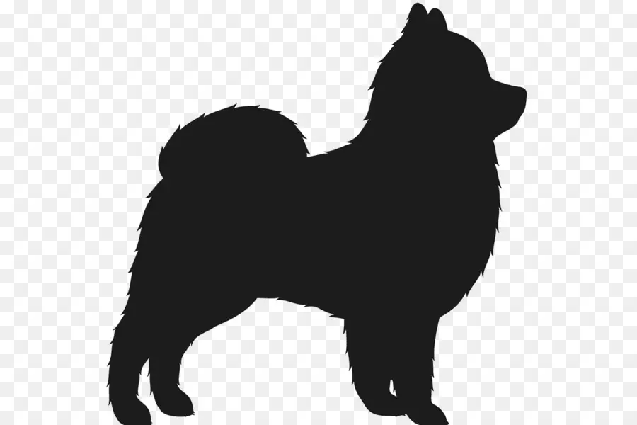 Schipperke，Eurasier PNG