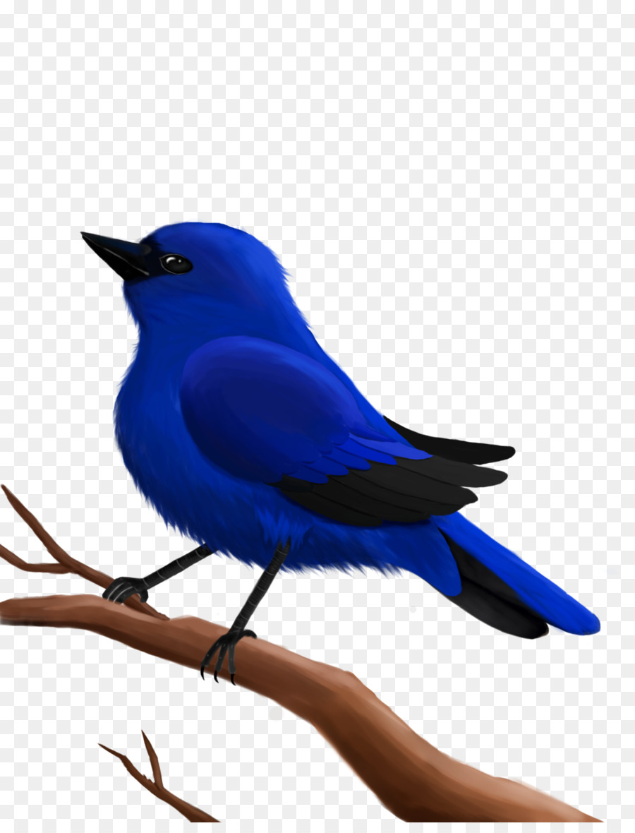 Azul Cobalto，Azul PNG