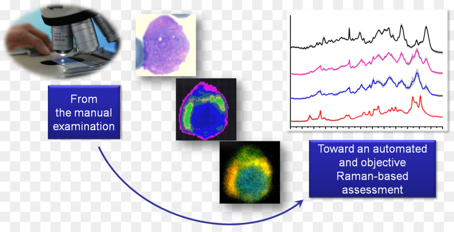 Espectroscopia Raman，Surfaceenhanced Espectroscopia Raman PNG