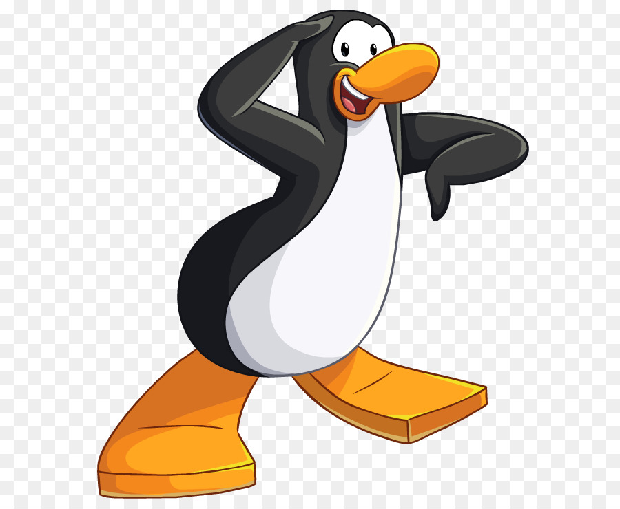 Pinguim，Pássaro PNG