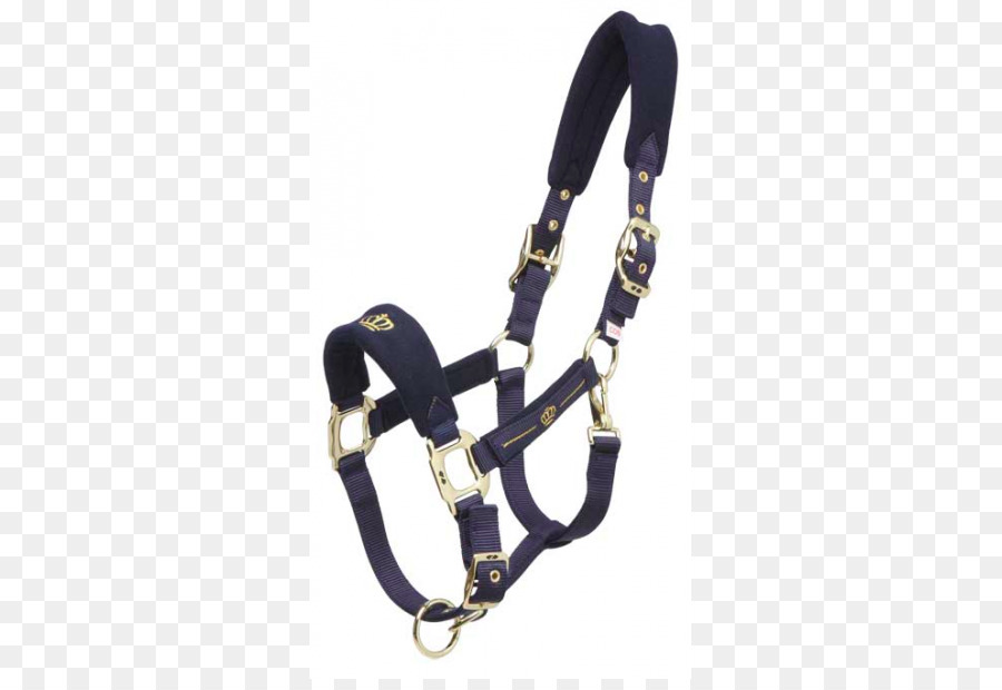 Halter，Velo Polar PNG