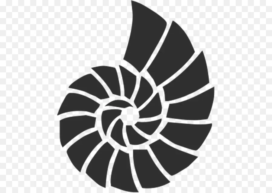 Concha，Espiral PNG