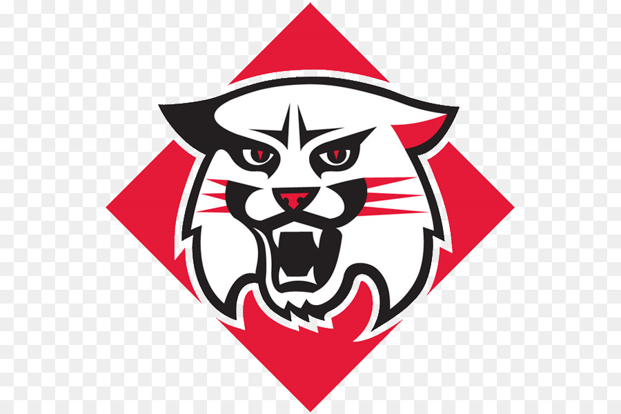 Davidson College，Davidson Wildcats De Futebol PNG