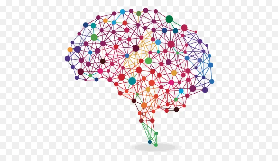 Cérebro，Cérebro Humano PNG