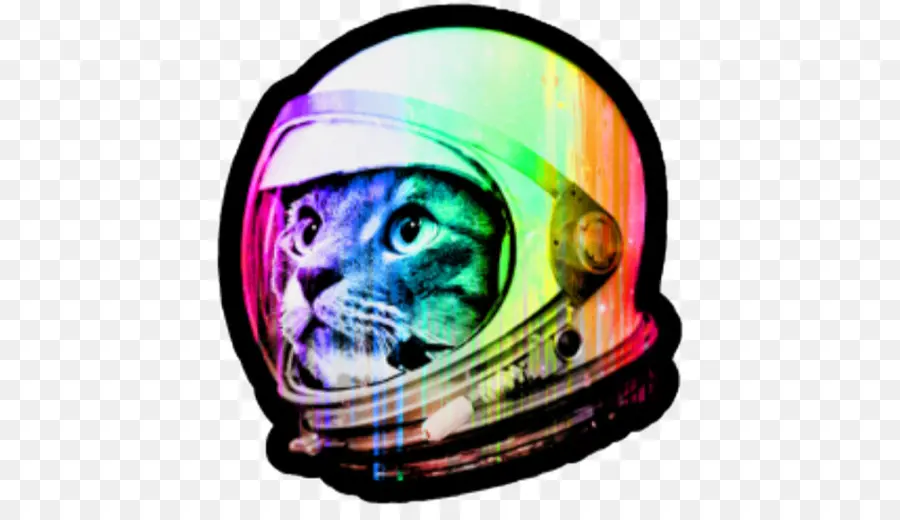 Gato Astronauta，Gato PNG