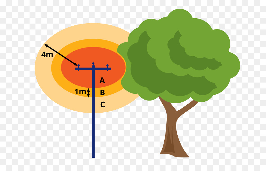 árvore，Diagrama De PNG