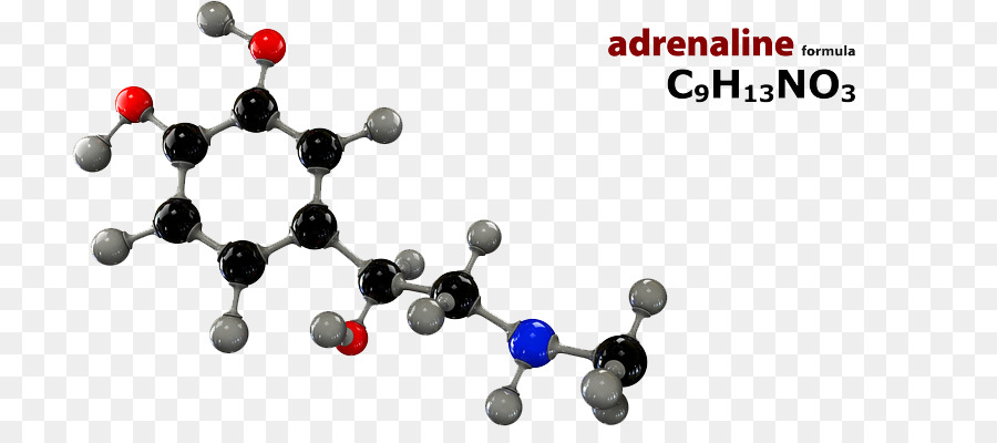 Molécula De Adrenalina，Estrutura Química PNG