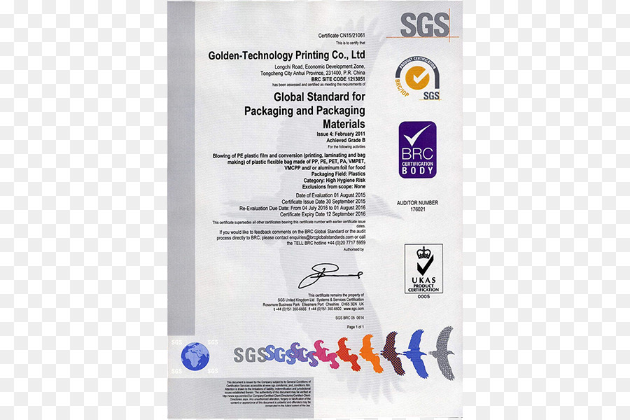 Iso 9000，Sistema De Gestão Da Qualidade PNG