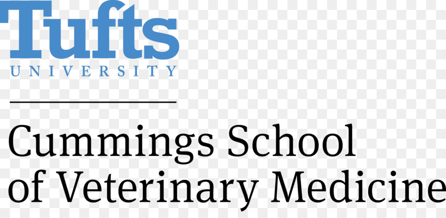 Tufts University Escola De Engenharia，A Universidade De Tufts PNG