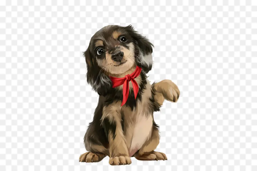 Filhote De Cachorro Fofo，Cachorro PNG