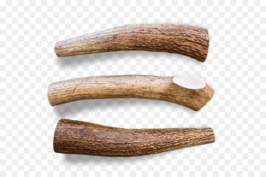 Antler，Elk PNG