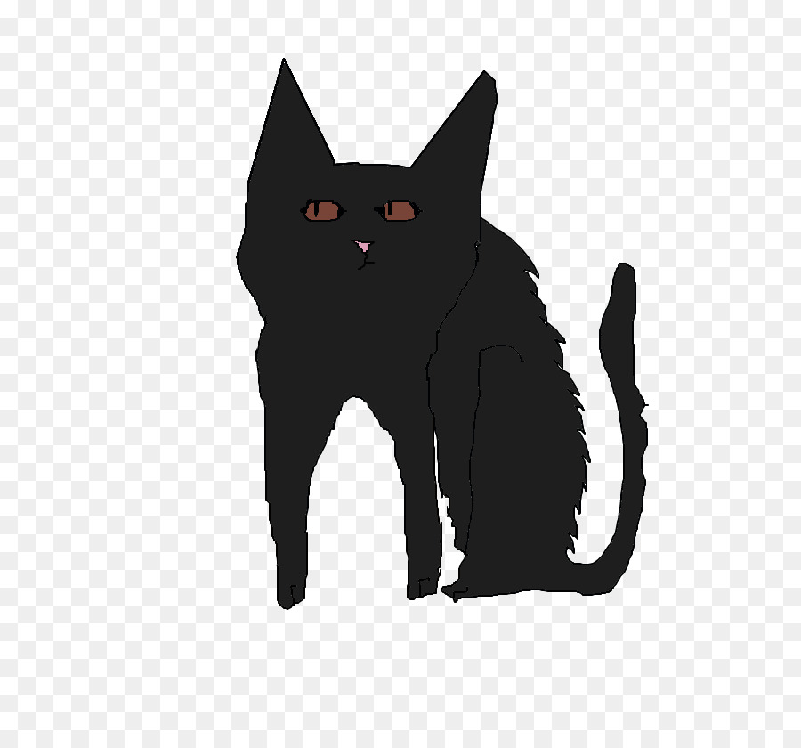 Gato，Preto PNG