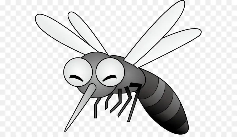 Mosquito，Erro PNG