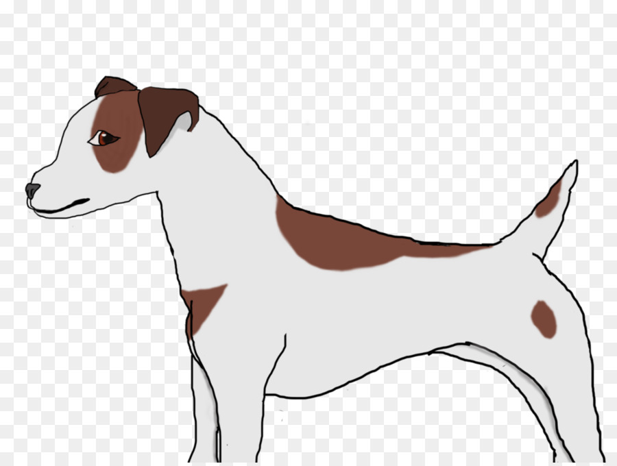Raça Do Cão，Russell Terrier PNG