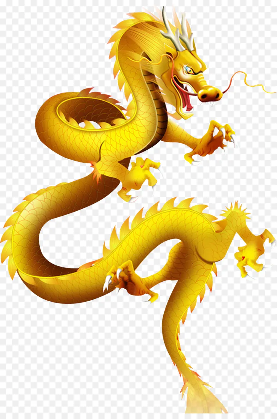 China，Shenron PNG