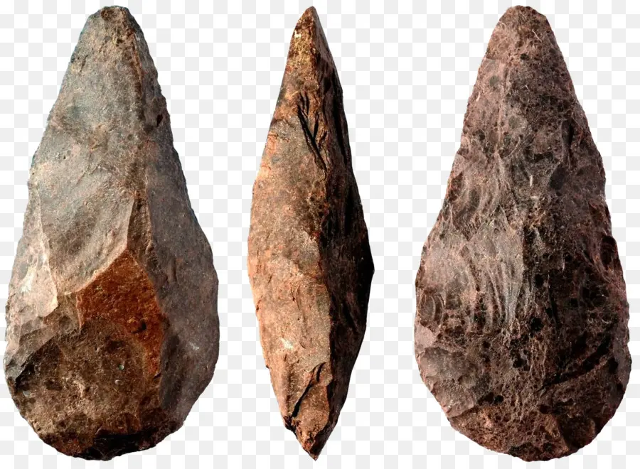 Paleolítico，Idade Da Pedra PNG