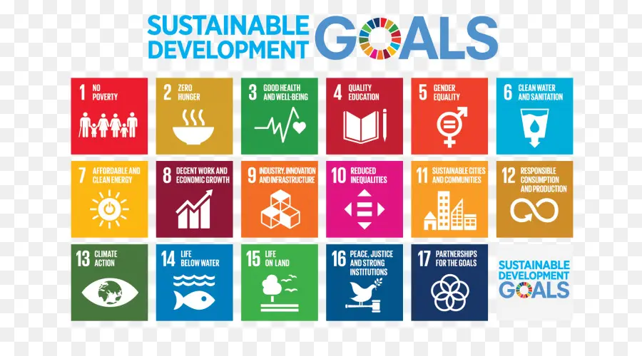 Metas De Desenvolvimento Sustentável，Objectivos De Desenvolvimento Do Milénio PNG
