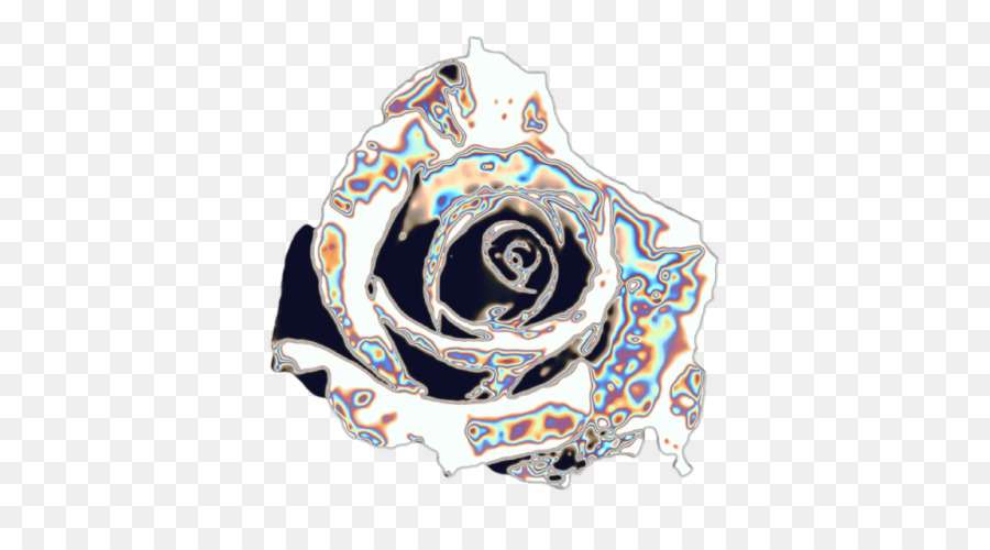 Rainbow Rose，Holografia PNG