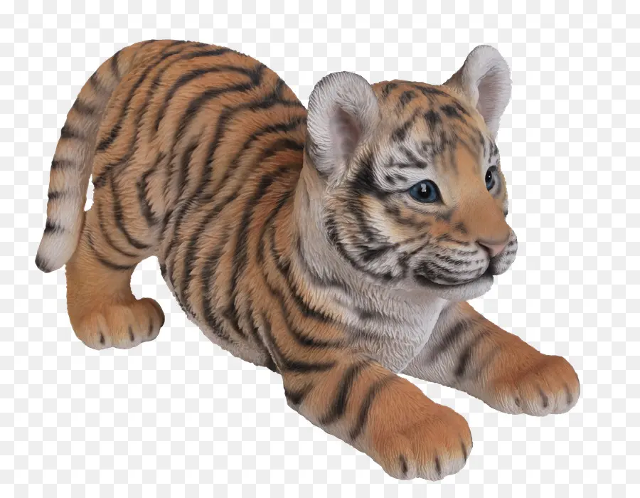 Filhote De Tigre，Animais Selvagens PNG