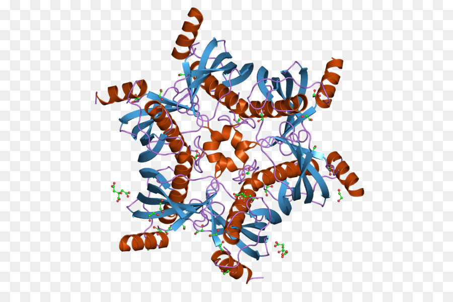 Estrutura Proteica，Molécula PNG