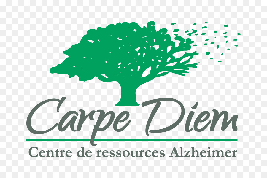 Carpe Diem Centro De Recursos De Alzheimer，Casa Carpe Diem PNG