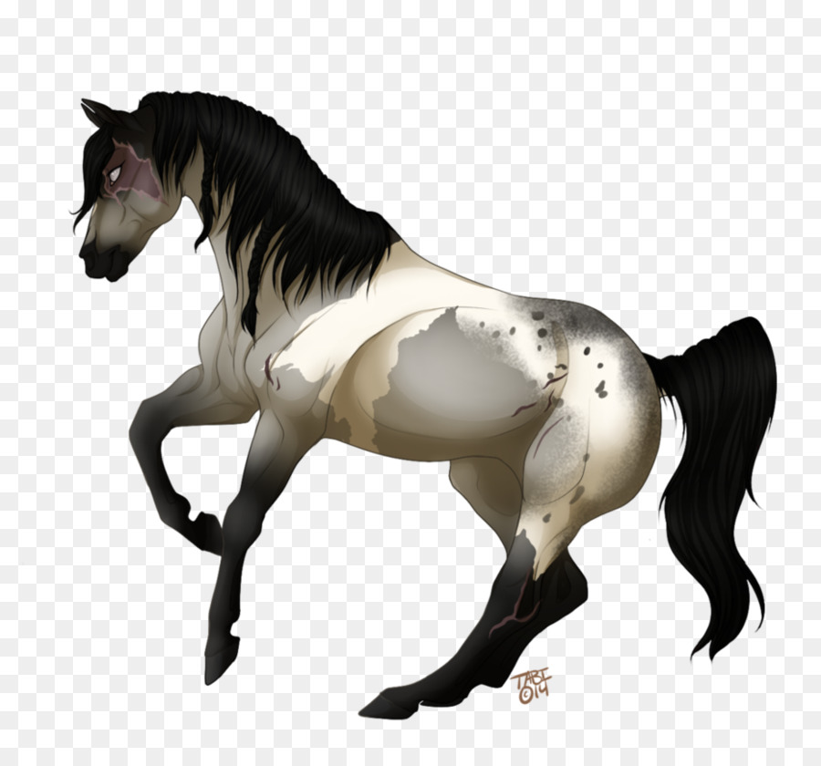 Cavalo Correndo，Animal PNG