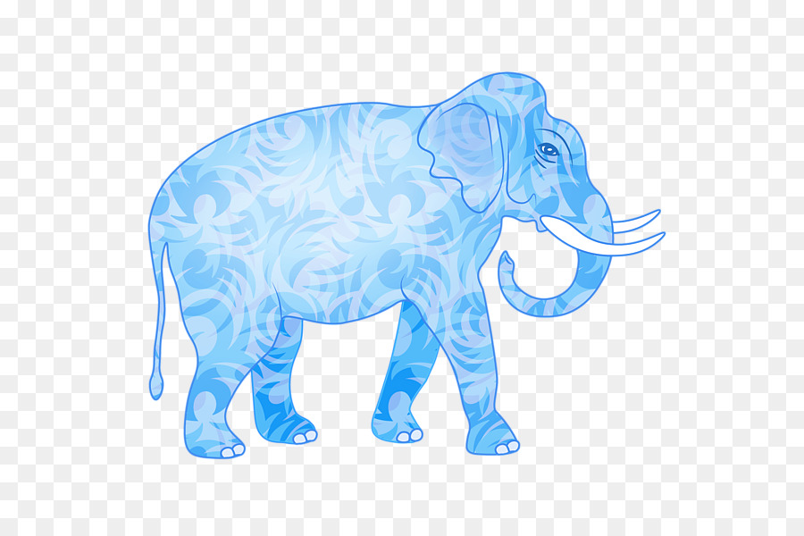 Elefante Indiano，Elefante Africano PNG