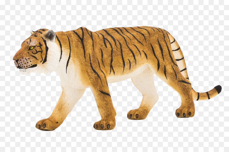 Tigre Branco，Tigre PNG