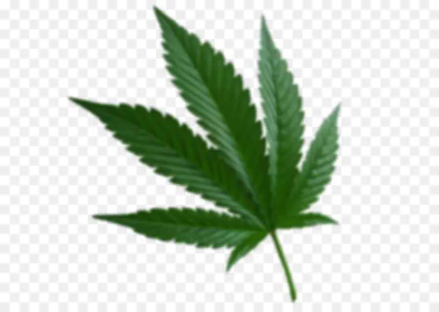 A Cannabis Ruderalis，A Cannabis Sativa PNG