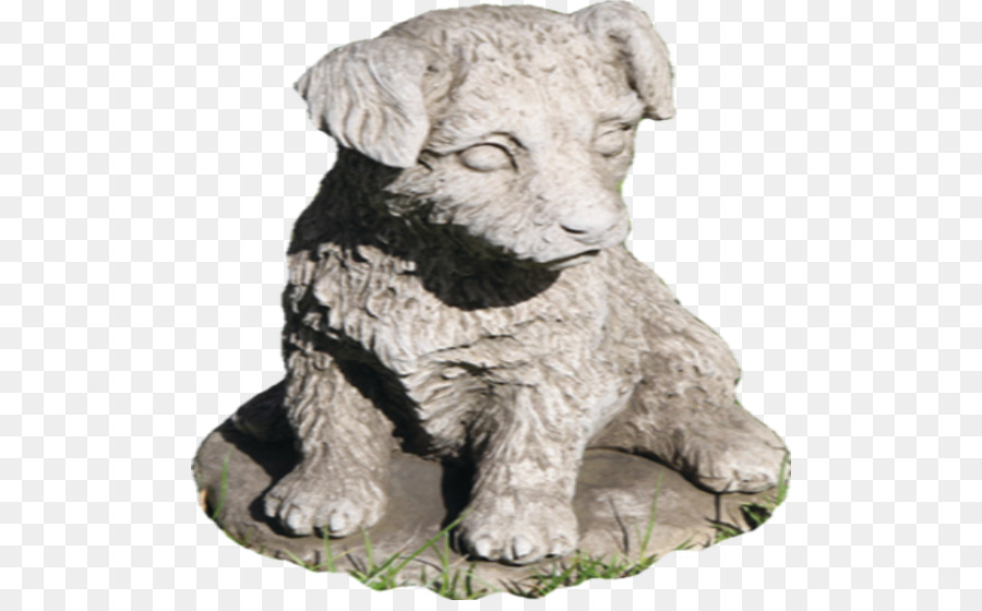 Raça Do Cão，Jack Russell Terrier PNG
