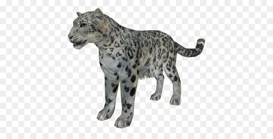 O Snow Leopard，Cheetah PNG