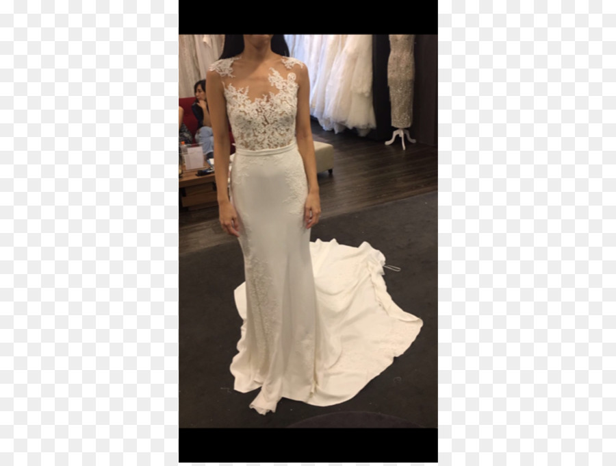 Vestido De Noiva，Pronovias PNG