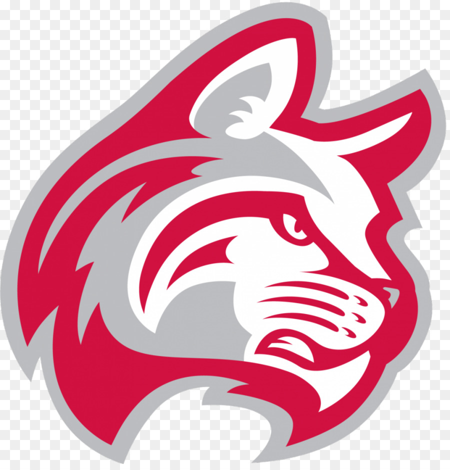 Indiana Wesleyan University，Indiana Wesleyan Wildcats Basquete Masculino PNG