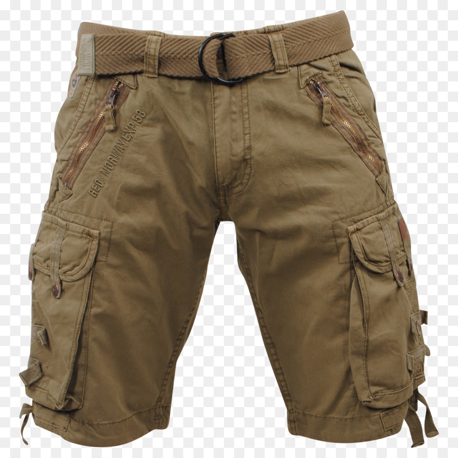 Shorts Cargo，Roupas PNG