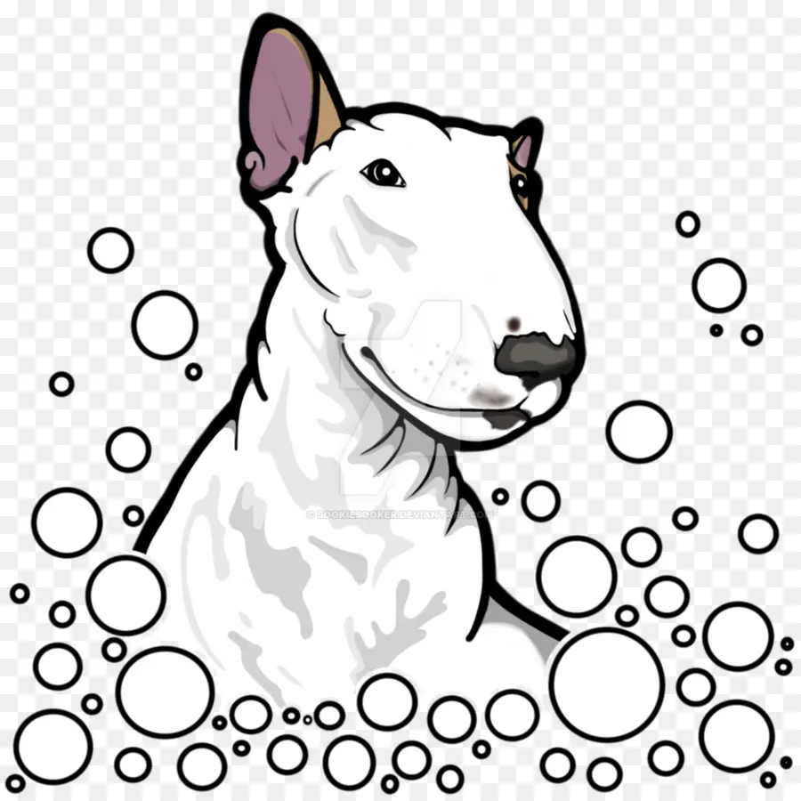 Bull Terrier Branco，Bull Terrier PNG