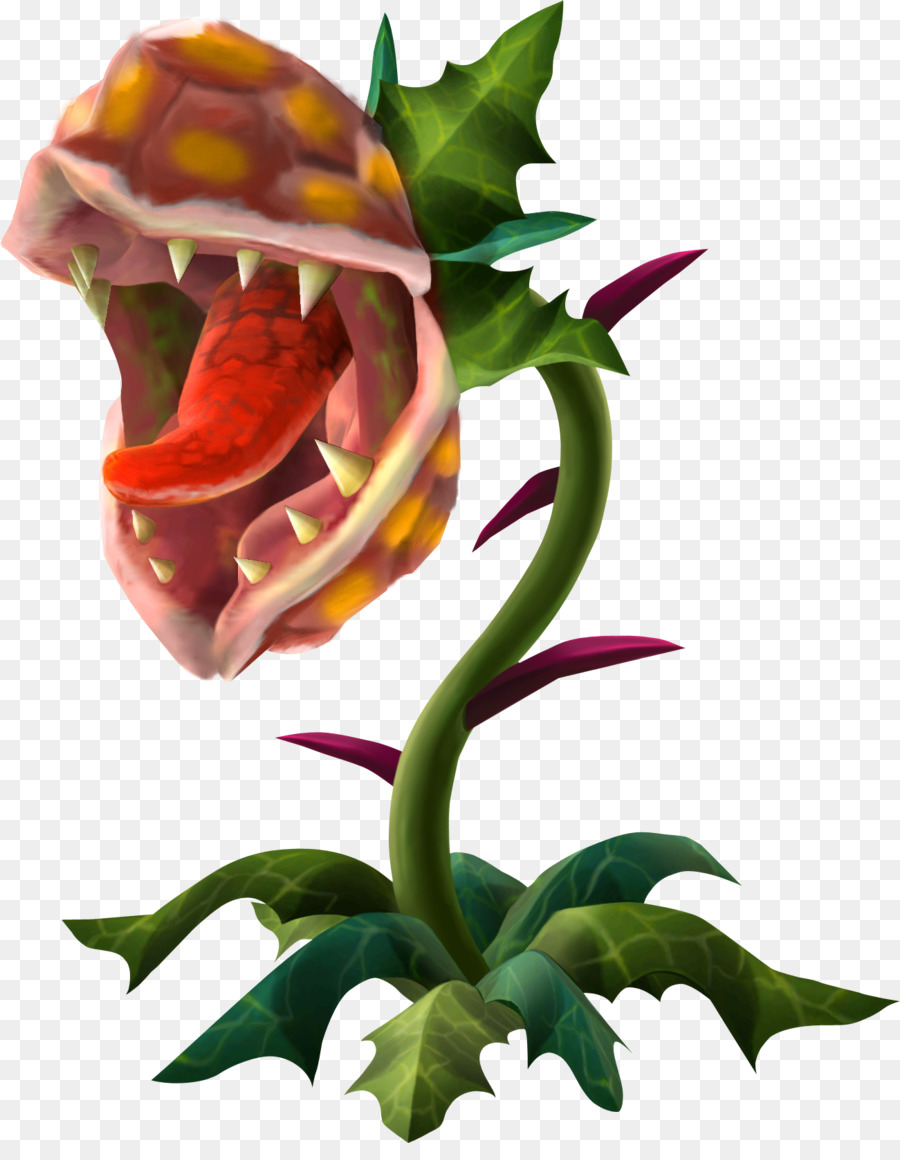 Planta Carnívora，Flytrap De Vênus PNG