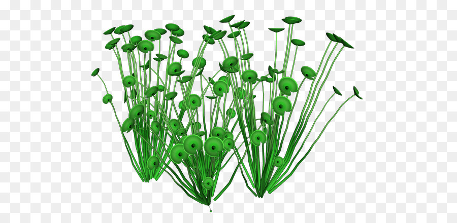 Plantas Verdes，Folhas PNG