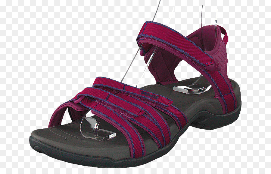 Sapato，Teva PNG