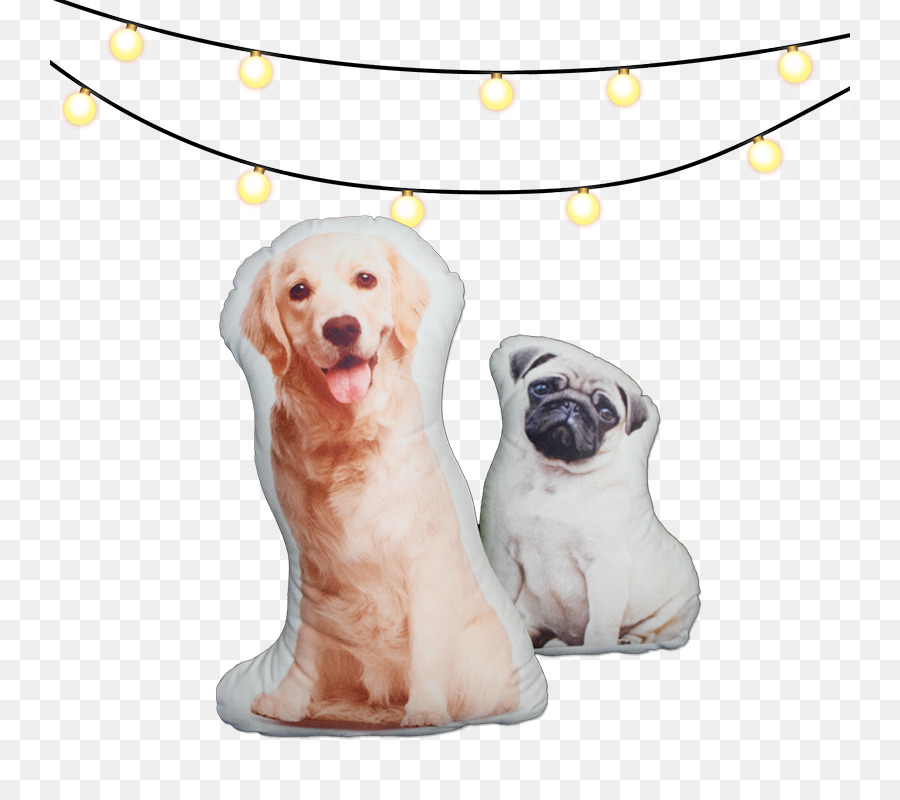 Labrador Retriever，Filhote De Cachorro PNG