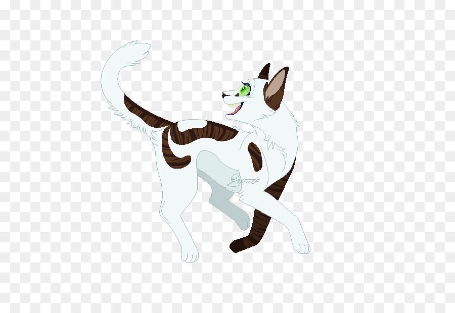 Gato，Cão PNG