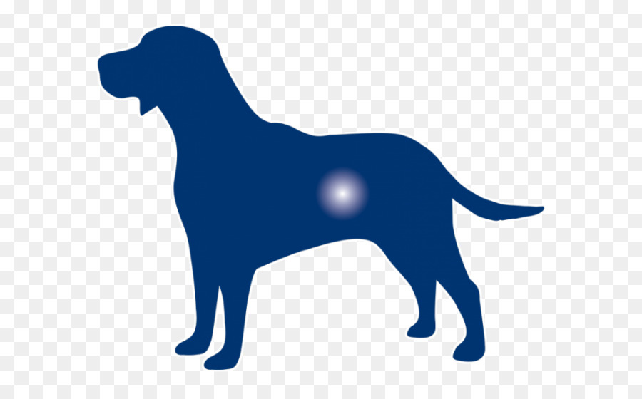 Labrador Retriever，Filhote De Cachorro PNG