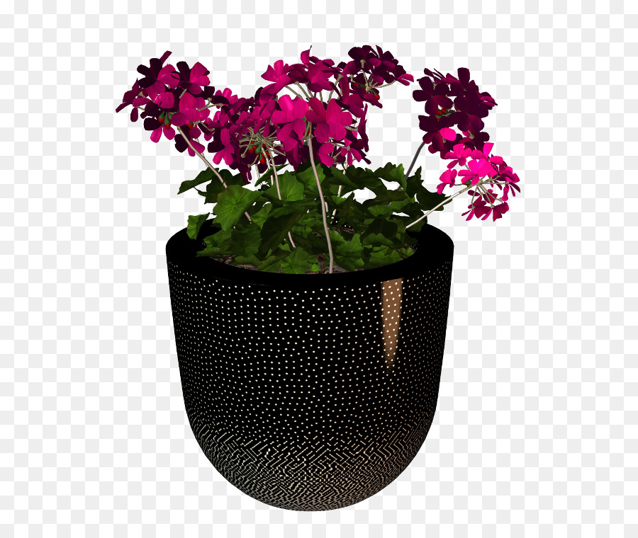 Flowerpot，Planta De Casa PNG