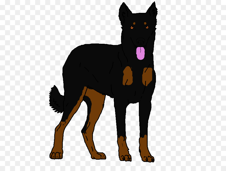 Kelpie Australiano，Beauceron PNG