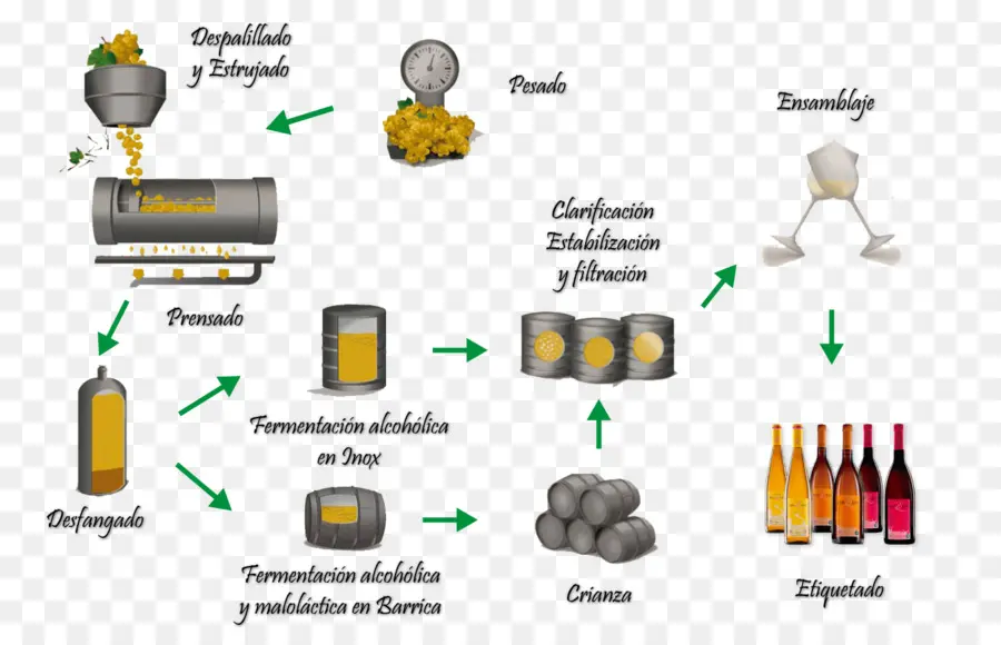 Produção De Vinho，Processo PNG