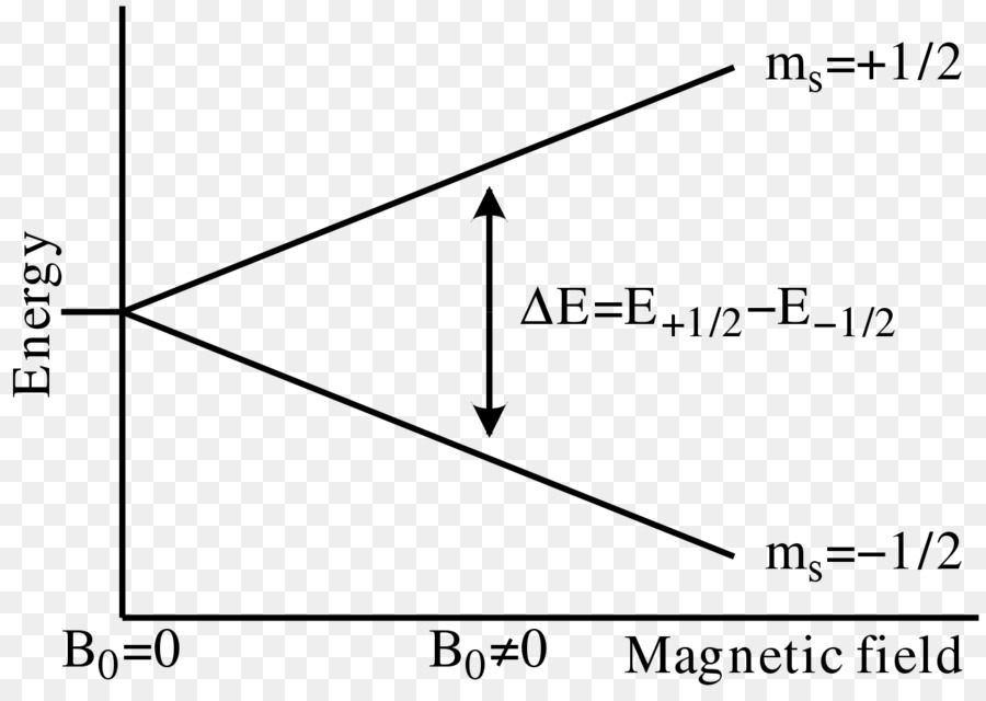 Elétron Paramagnético De Ressonância，Spin PNG