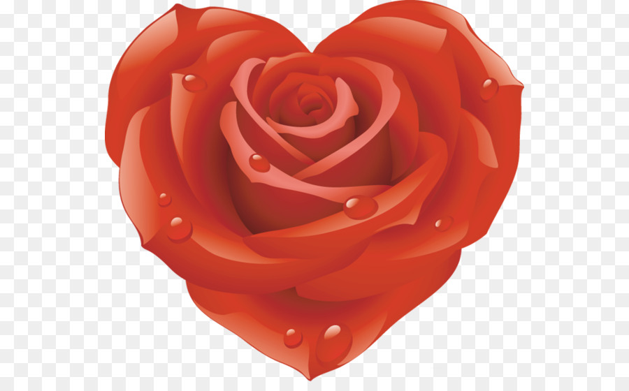 Rosa Em Forma De Coração，Amor PNG