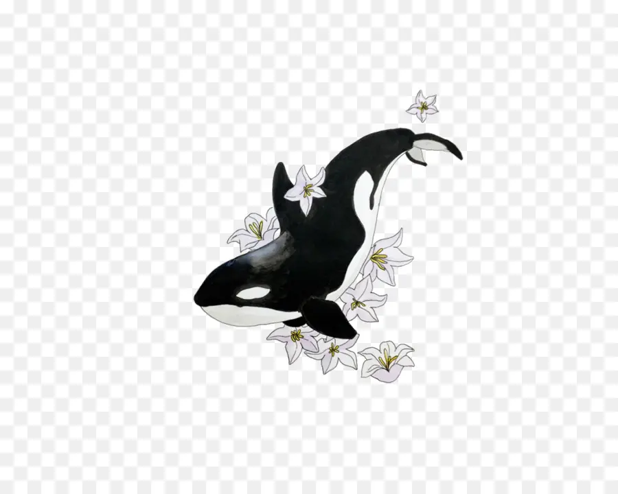 Orca，Baleia PNG