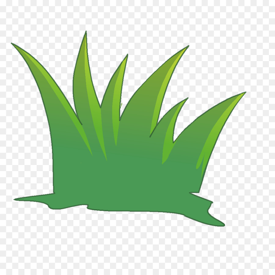 Grama，Verde PNG