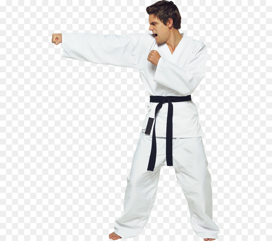 Praticante De Caratê，Artes Marciais PNG